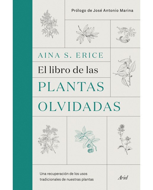 Imagem 0 de El libro de las plantas olvidadas: Una recuperación de los usos tradicionales de nuestras plantas(Tapa dura)