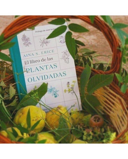 El libro de las plantas olvidadas: Una recuperación de los usos tradicionales de nuestras plantas(Tapa dura) 2