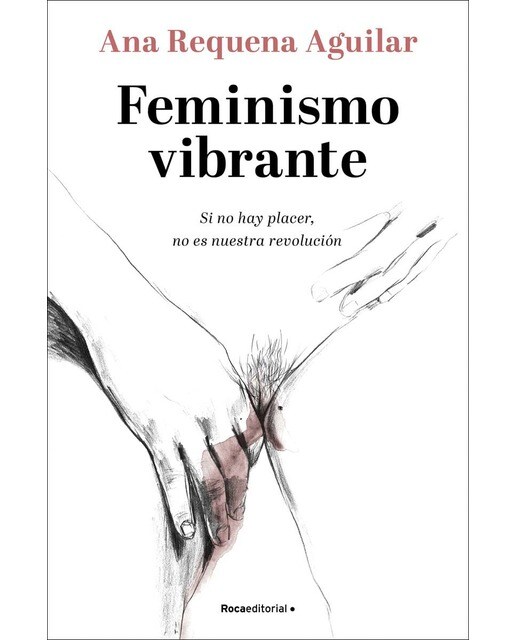 Feminismo vibrante: Si no hay placer, no es nuestra revolución (Capa mole com abas) 1
