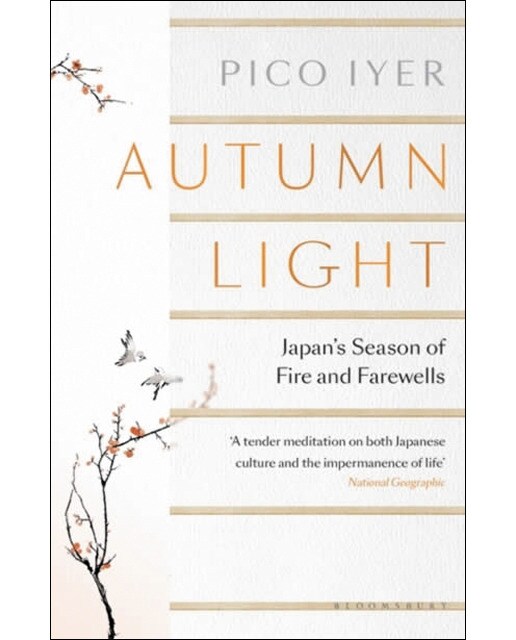 Autumn light 1