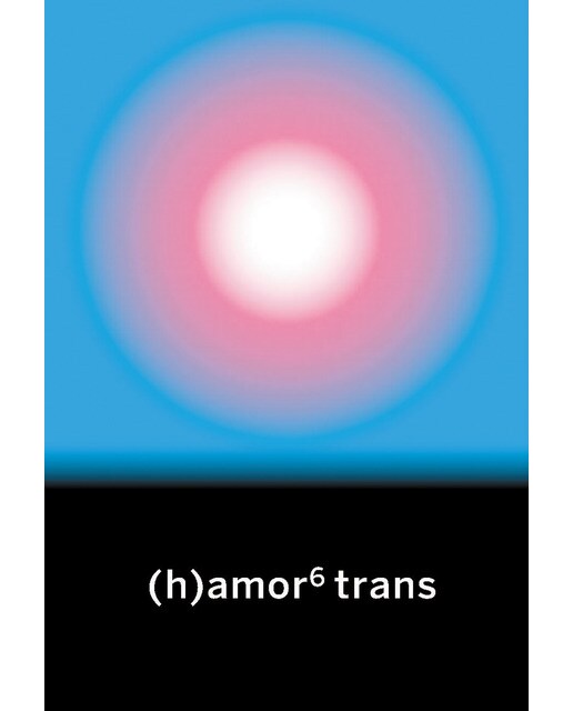Imagem 0 de (h)amor 6 trans
