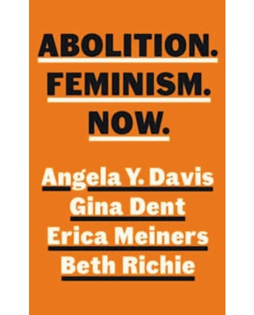 Abolition feminism now 1