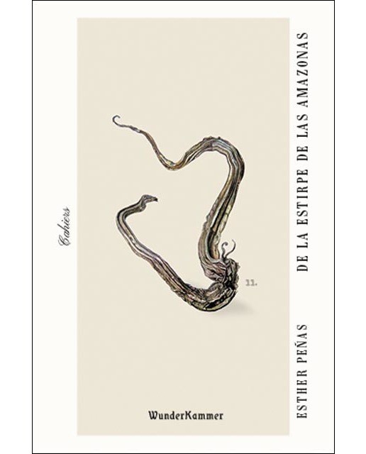 De la estirpe de las amazonas(Tapa blanda) 1