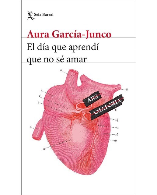 El día que aprendí que no sé amar (Capa mole com abas) 1