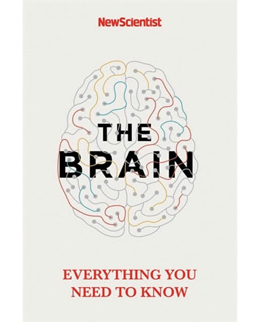 The brain 1