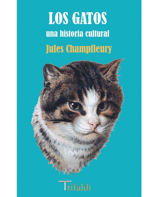 Los gatos 1