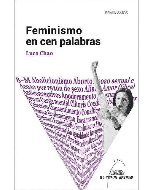 Feminismo en cen palabras (Capa mole com abas) 1
