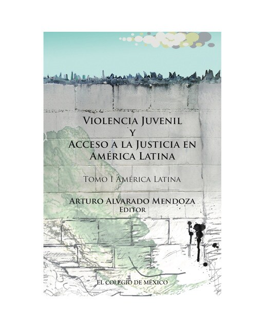 Violencia juvenil y acceso a la justicia 1