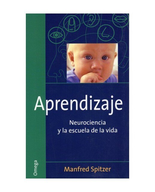 APRENDIZAJE (Capa mole) 1