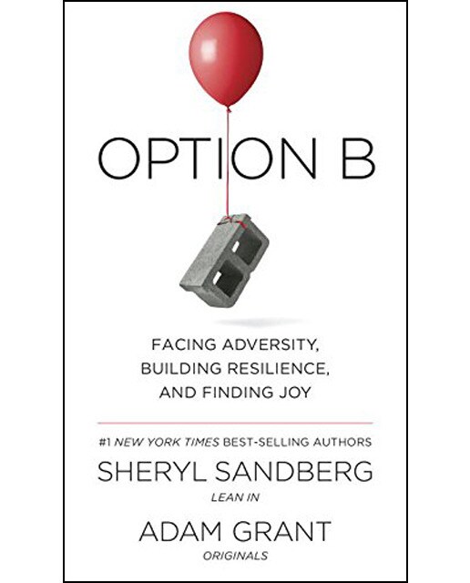 Option B: Facing Adversity Building Resistance And 1