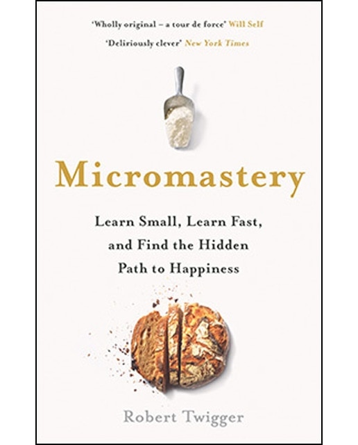 Micromastery: The Hidden Path To Success 1
