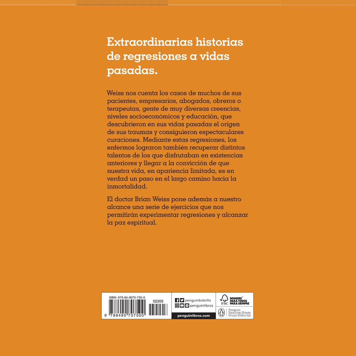 A través del tiempo (Bolsillo) (Tapa blanda) 2