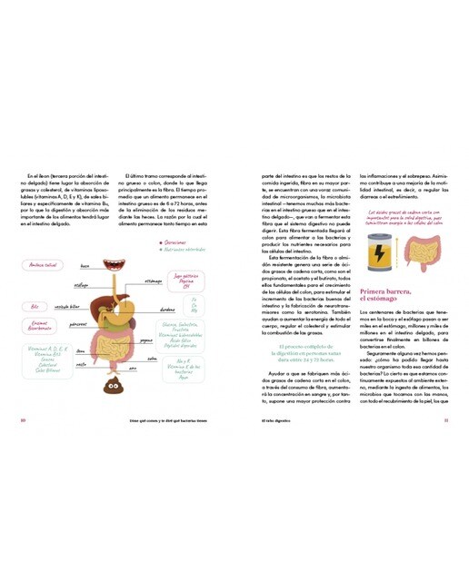 Dime qué comes y te diré qué bacterias tienes: El intestino, nuestro segundo cerebro (Tapa blanda) 5