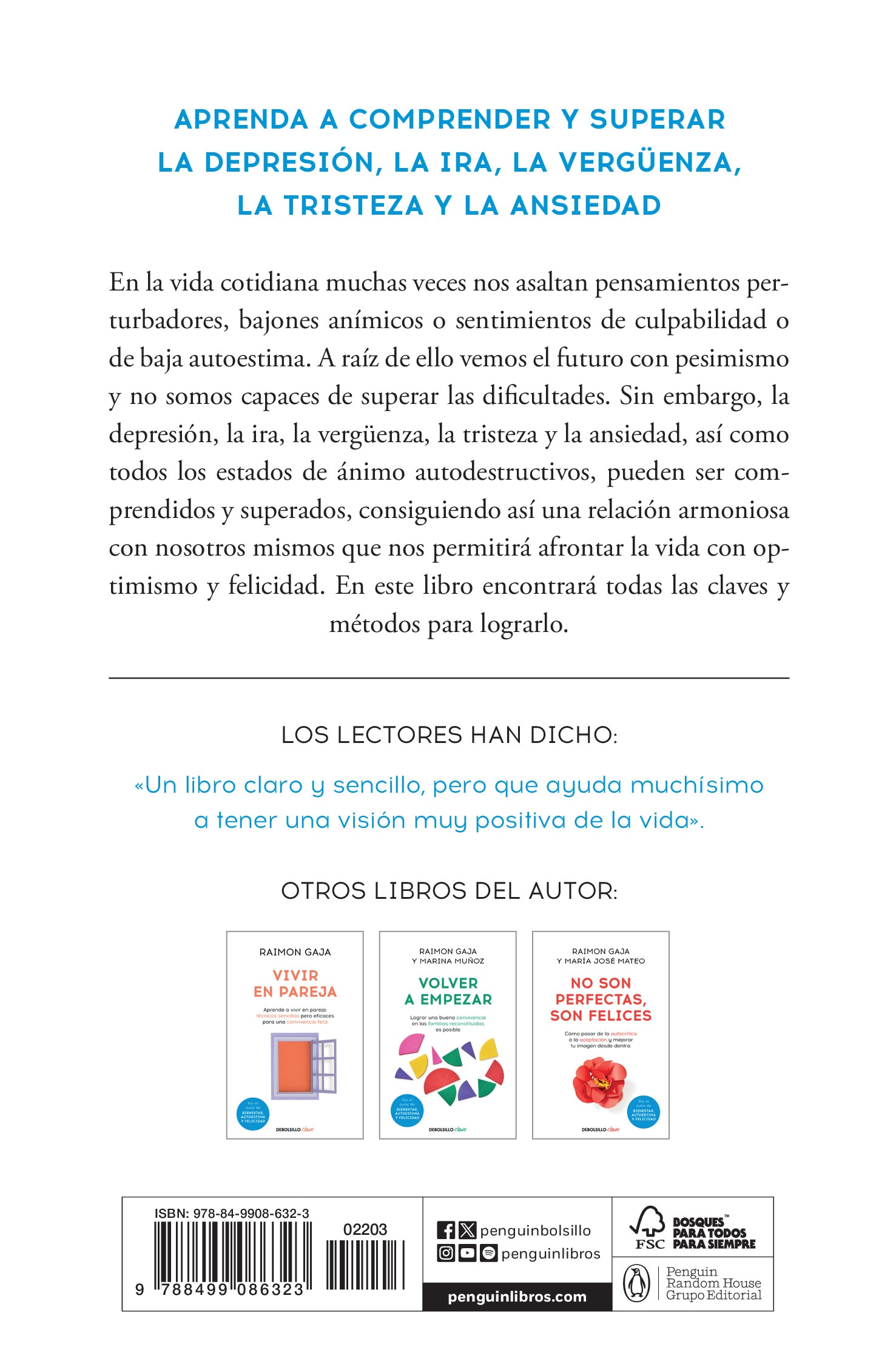 Bienestar, autoestima y felicidad: Una guía para alcanzar la estabilidad psíquica y la madurez personal (Bolsillo) (Tapa blanda) 2