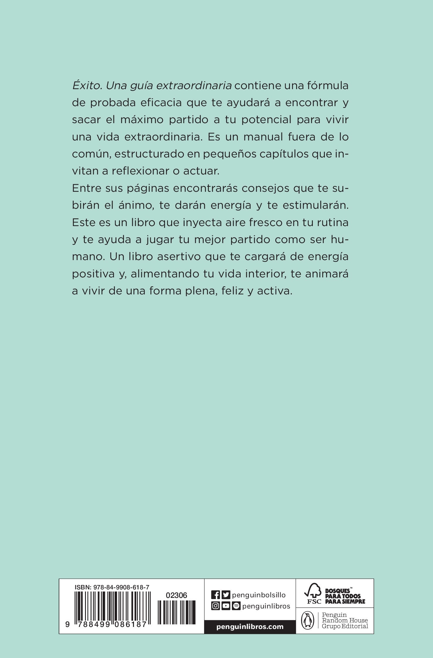 Éxito. Una guía extraordinaria (Bolsillo) (Tapa blanda) 2
