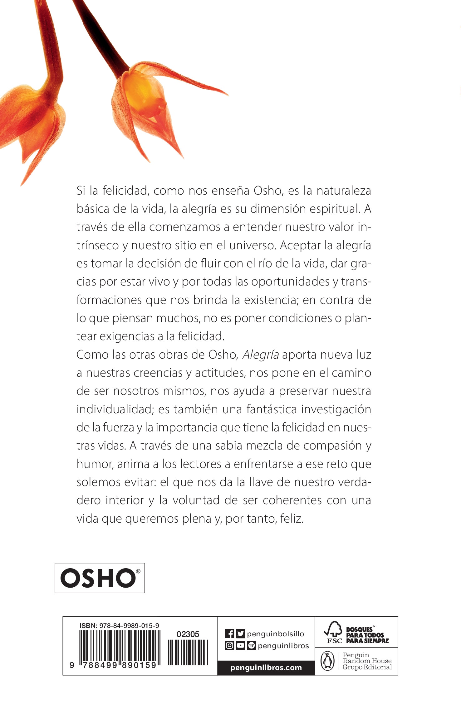 Alegría (Claves para una nueva forma de vivir): La felicidad que surge del interior  (Bolsillo) (Tapa blanda) 2