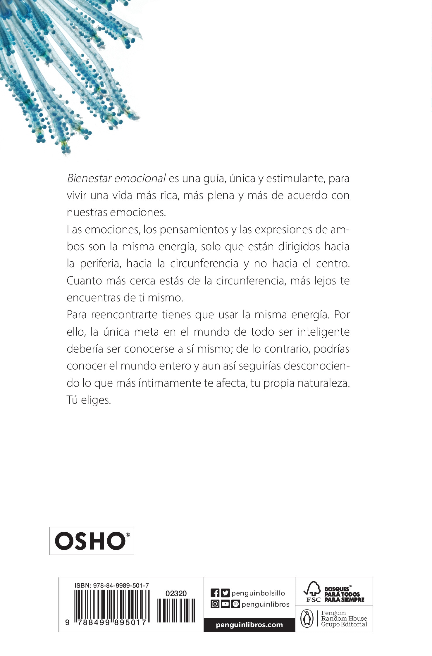 Bienestar emocional: Superar el miedo, el odio y los celos con la energía creativa (Bolsillo) (Tapa blanda) 2