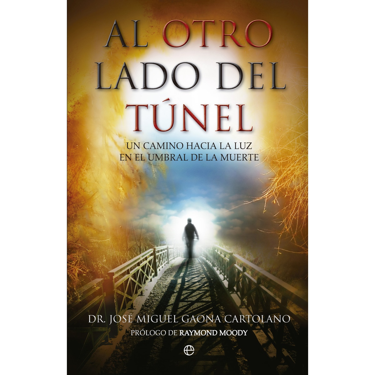 Al otro lado del túnel: Un camino hacia la luz en el umbral de la muerte(Tapa blanda) 1
