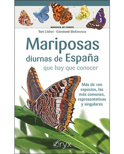 Imagen 0 de Mariposas diurnas de España que hay que conocer: Más de 100 especies, las más comunes, representativas y singulares  (Tapa blanda)