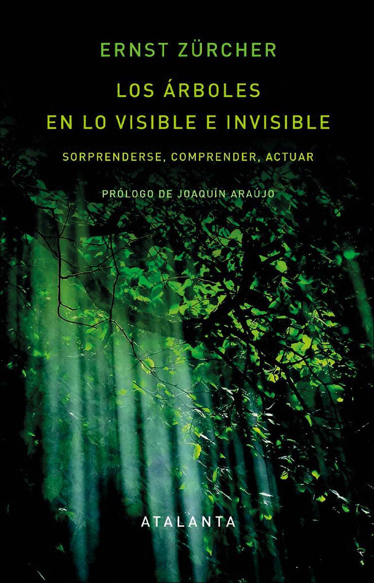 Imagem 0 de Los árboles en lo visible e invisible