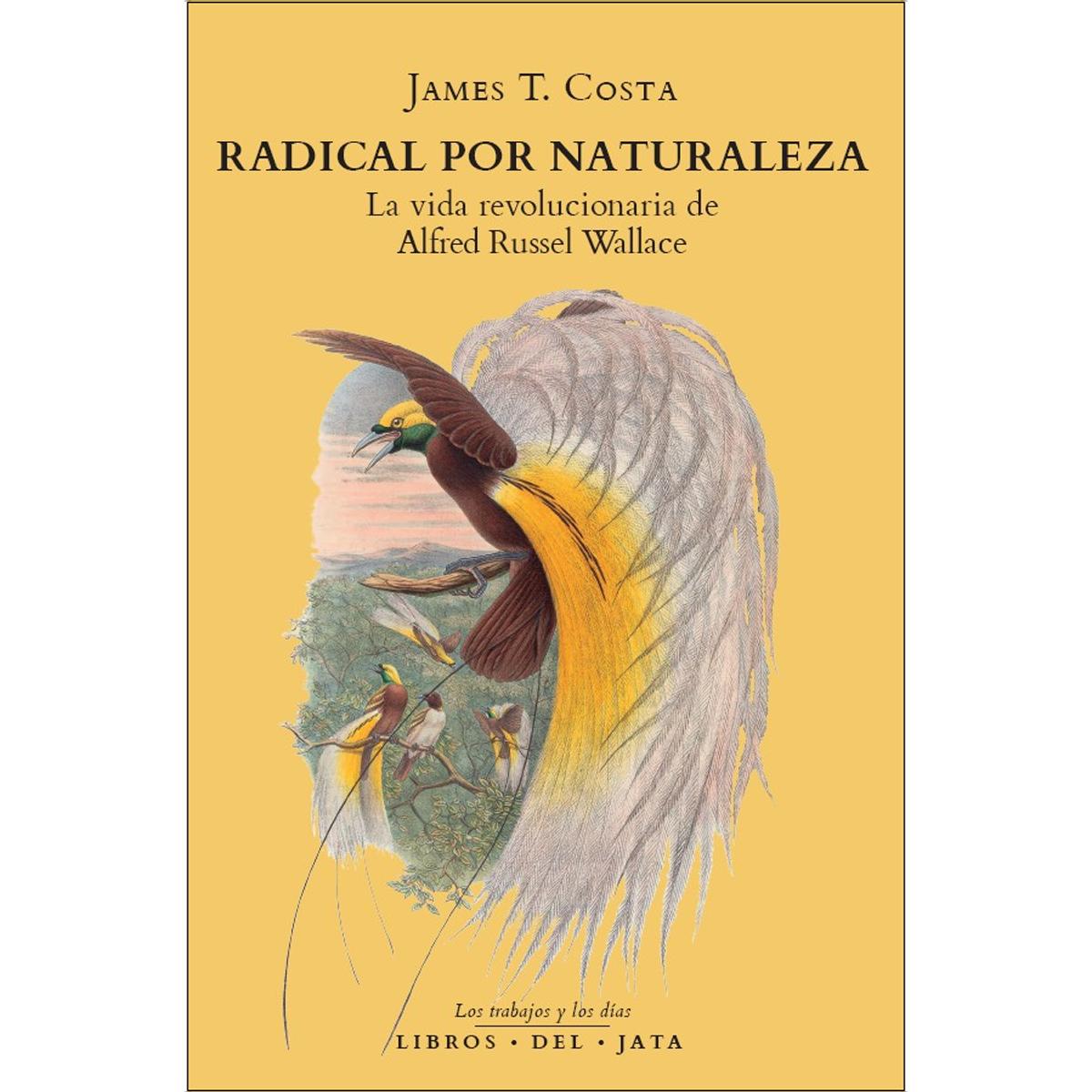 Imagem 0 de Radical por naturaleza