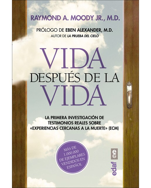 Vida después de la vida 1