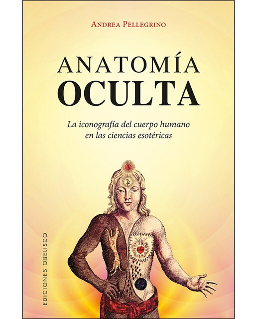 Anatomía oculta (Capa mole com abas) 1