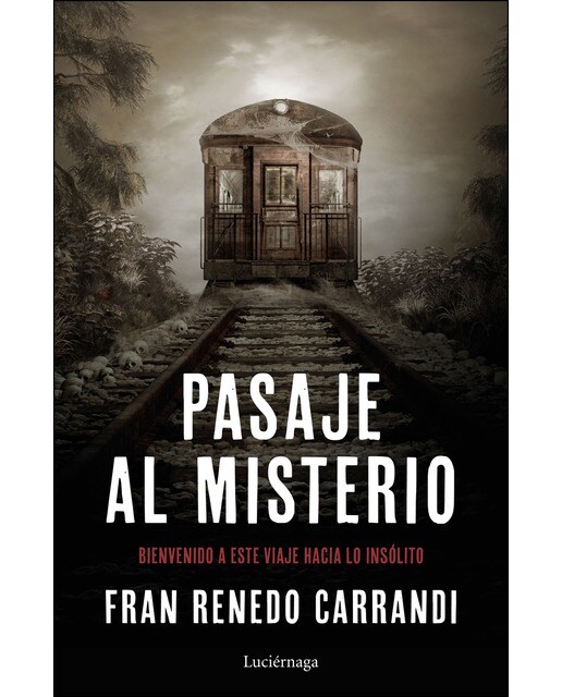Pasaje al misterio: Un viaje hacia lo insólito (Capa mole com abas) 1