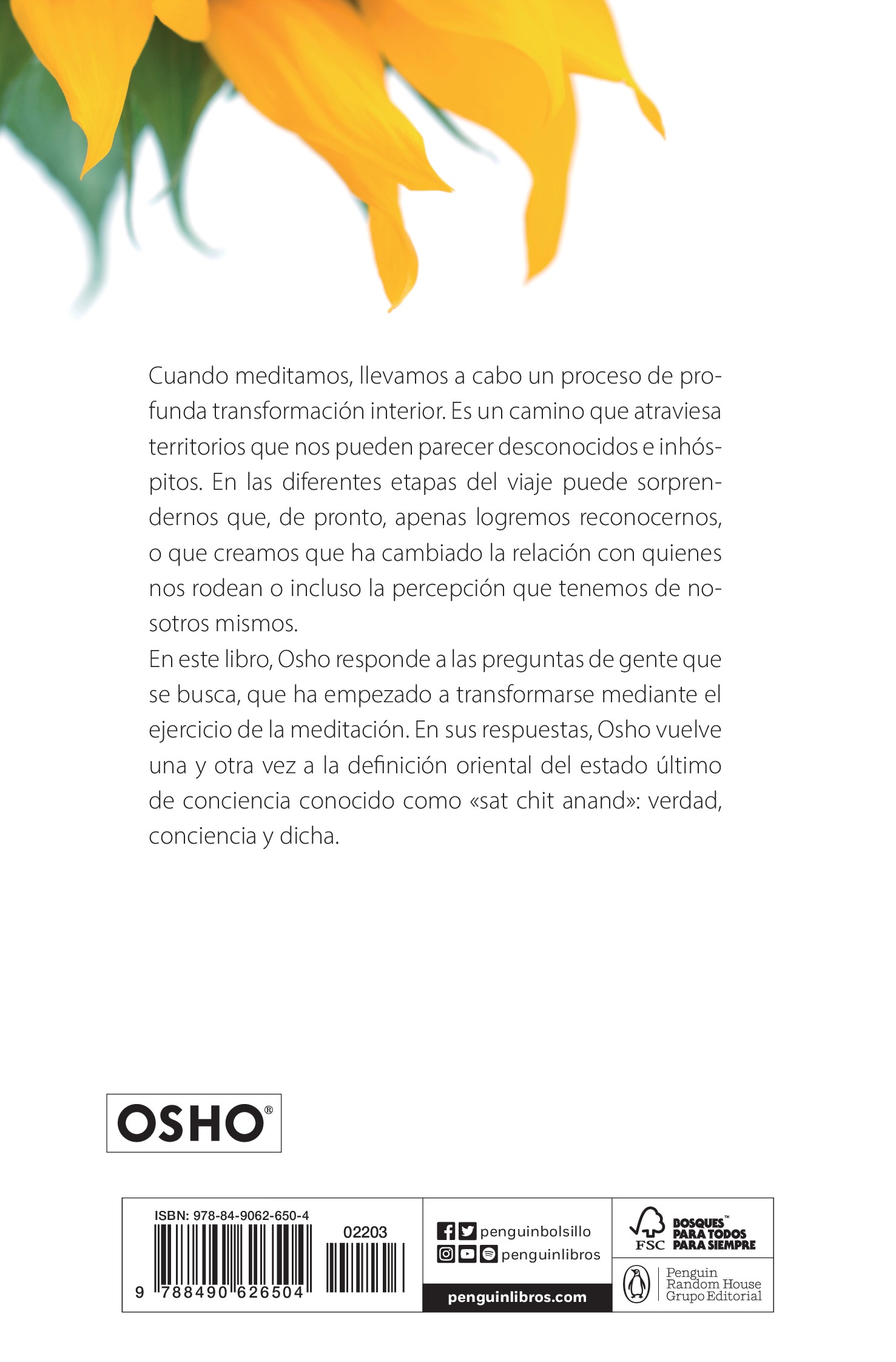 No tienes nada que perder (OSHO habla de tú a tú): En el camino hacia la verdad, la conciencia y la felicidad (Bolso) 2