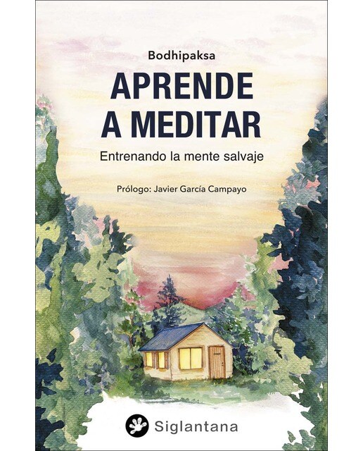 Aprende a meditar: Entrenando la mente salvaje (Capa mole com abas) 1