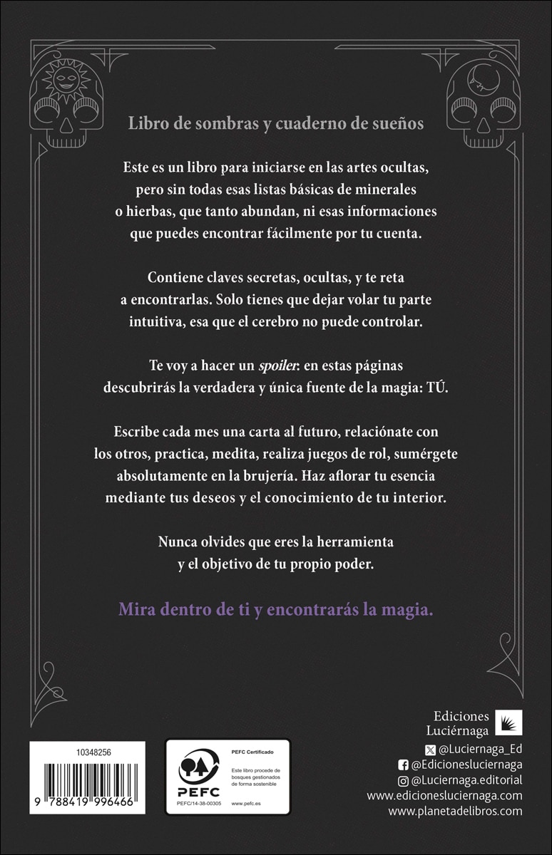 Wish Notebook: Diario de lo oculto (Capa mole com abas) 2
