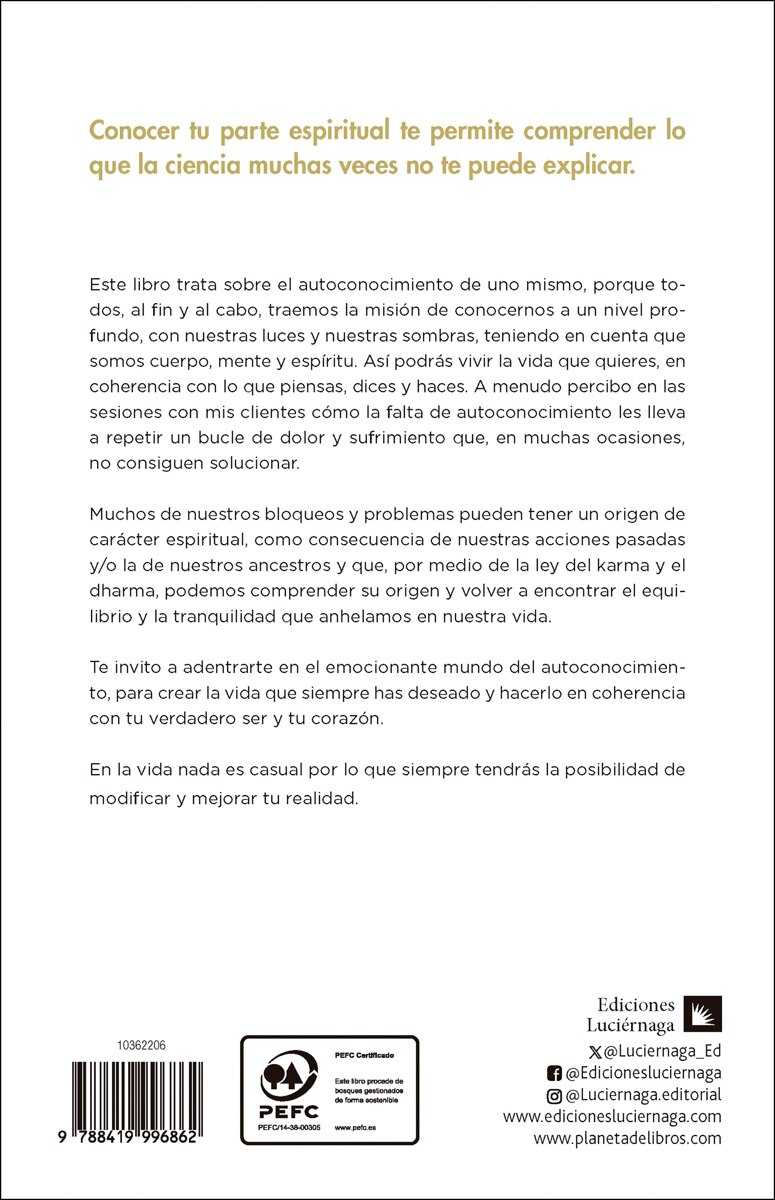 Lecciones del alma: sanando el karma con numerología (Capa mole com abas) 2