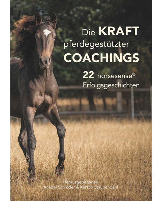 Die Kraft pferdegestützter Coachings 1