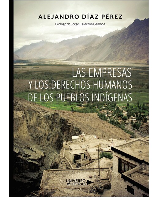 Las empresas y los derechos humanos de los Pueblos Indígenas (Capa mole) 1