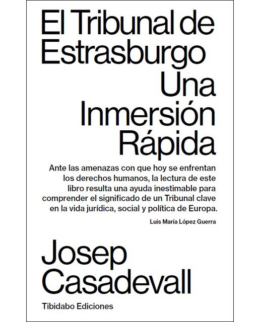 El tribunal de estrasburgo: Una inmersión rápida(Tapa blanda) 1