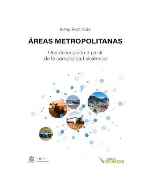 Áreas metropolitanas: Una descripción a partir de la complejidad sistémica(Tapa blanda) 1