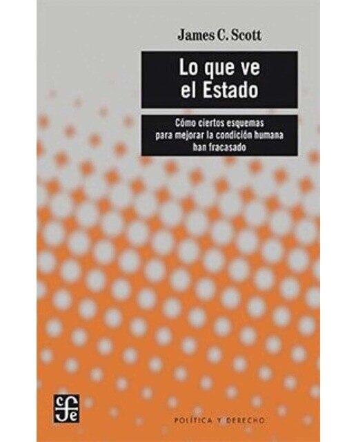 Lo que ve el estado-como ciertos esquemas para mej 1