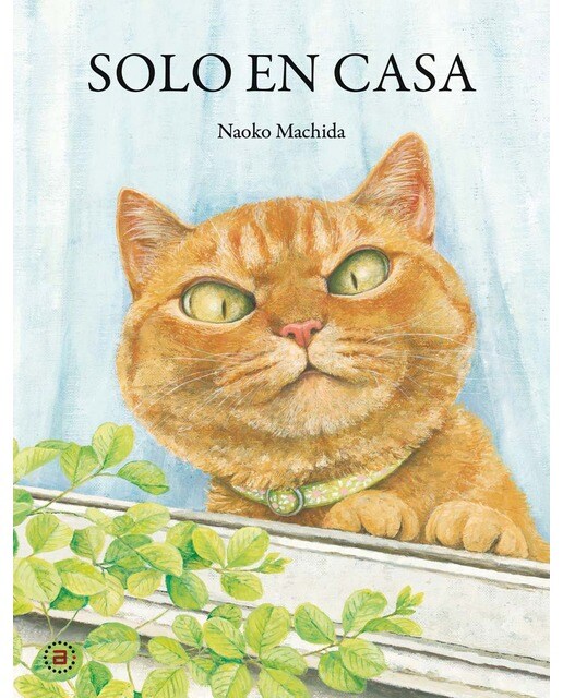 Solo en casa (Capa dura) 1