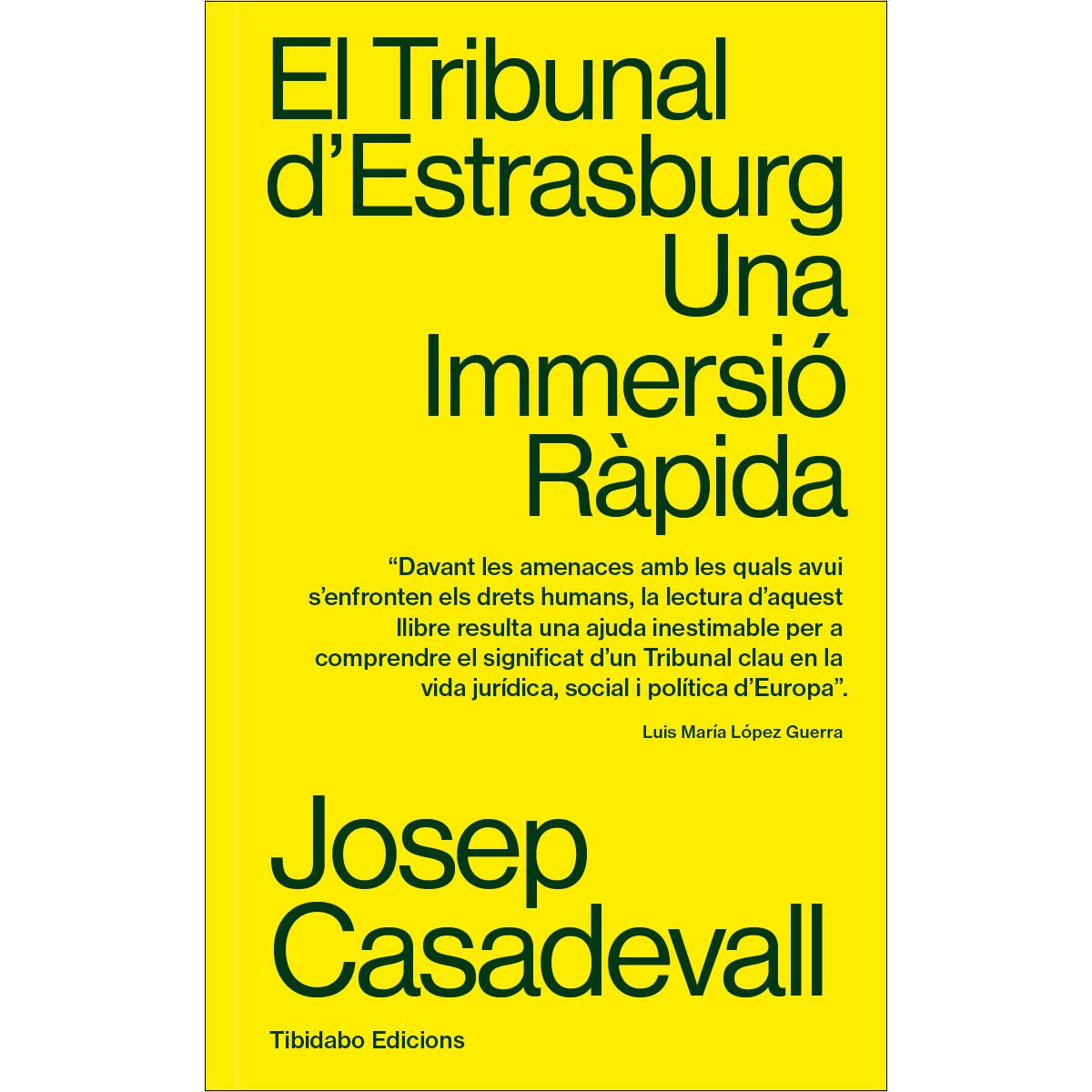 El Tribunal d'Estrasburg: Una immersió ràpida (Capa mole) 1