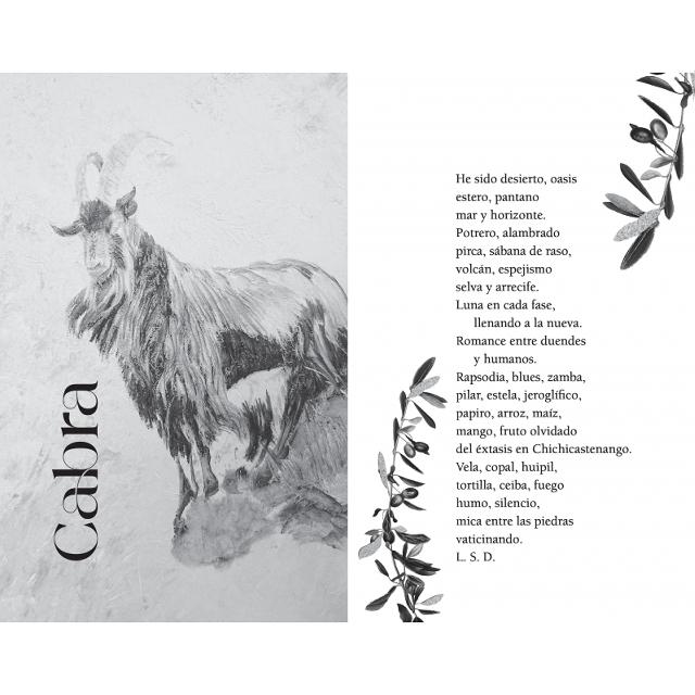 Horóscopo Chino 2026 (Capa mole) 6