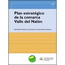 Plan estratégico de la comarca del valle del nalón