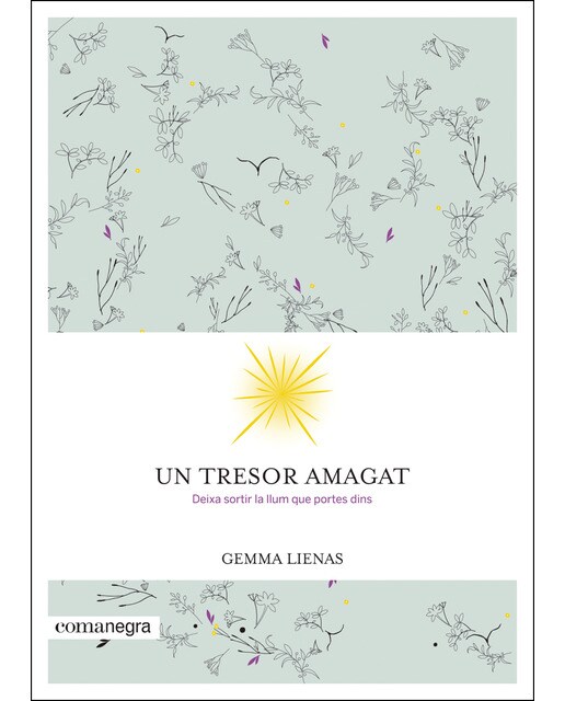 Un Tesoro Escondido 1