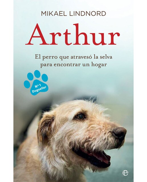 Arthur: El perro que atravesó la jungla para encontrar un hogar (Capa mole com abas) 1