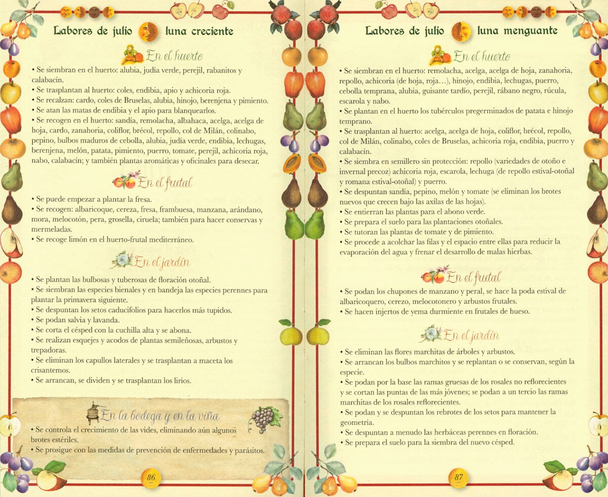 Almanaque De La Casa Y El Campo 2