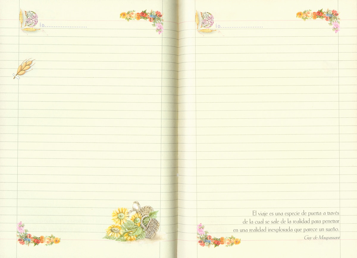 Libro De Visitas 2