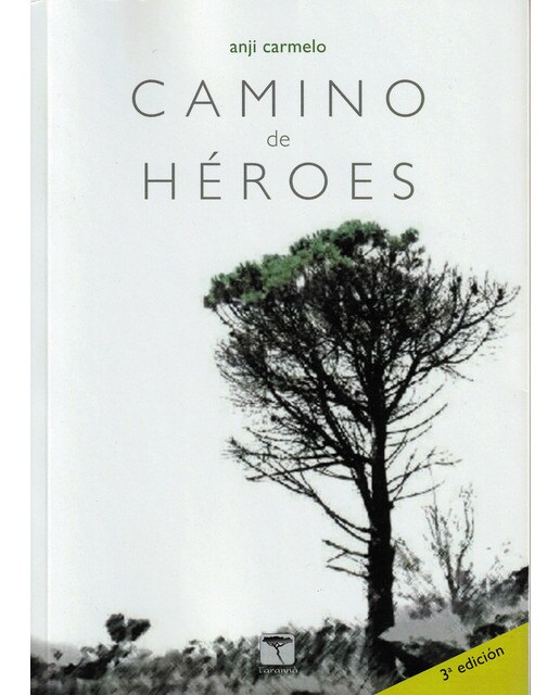 Camino de héroes: Duelo y esperanza(Tapa blanda) 1