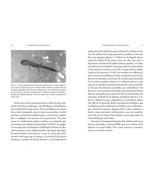 El cerebro del adolescente: Descubre cómo funciona para entenderlos y acompañarlos(Tapa blanda) 4