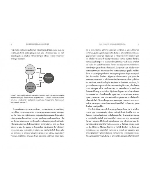 El cerebro del adolescente: Descubre cómo funciona para entenderlos y acompañarlos(Tapa blanda) 5
