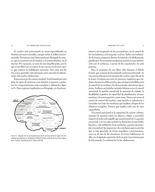 El cerebro del adolescente: Descubre cómo funciona para entenderlos y acompañarlos(Tapa blanda) 7