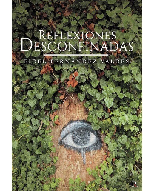 Imagen 0 de Reflexiones desconfinadas